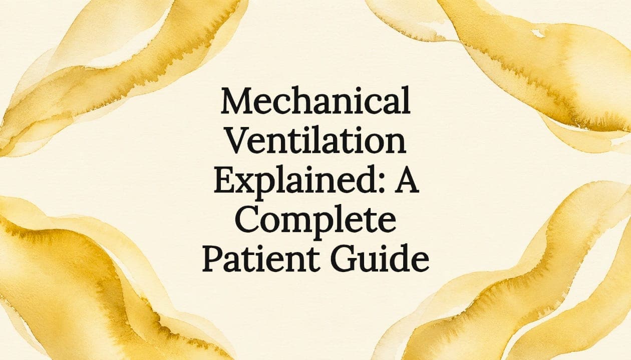 Mechanical Ventilation Explained: A Complete Patient Guide
